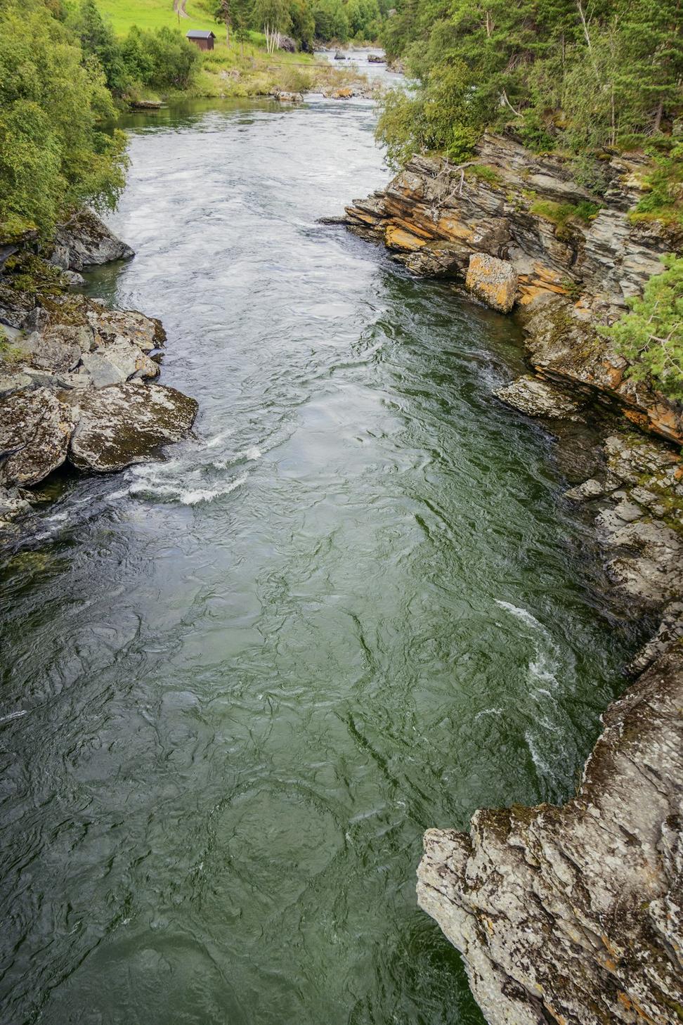 Water quality testing
